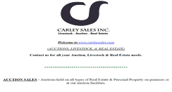 Desktop Screenshot of carleysales.com