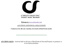 Tablet Screenshot of carleysales.com